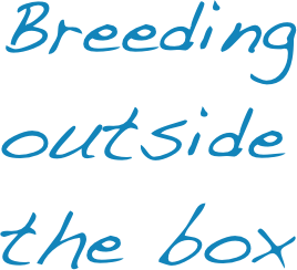 Breeding outside the box