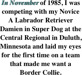 In November of 1985, I was competing with my Novice A Labrador Retriever Damien in Super Dog at the Central Regional in Duluth, Minnesota and laid my eyes for the first time on a team that made me want a Border Collie. 